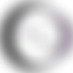 High Level (Northern) Trust | Charici