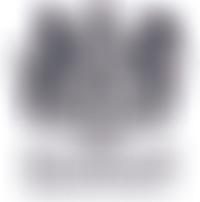 Youth Organisations In Uniform West Midlands Cio | Charici