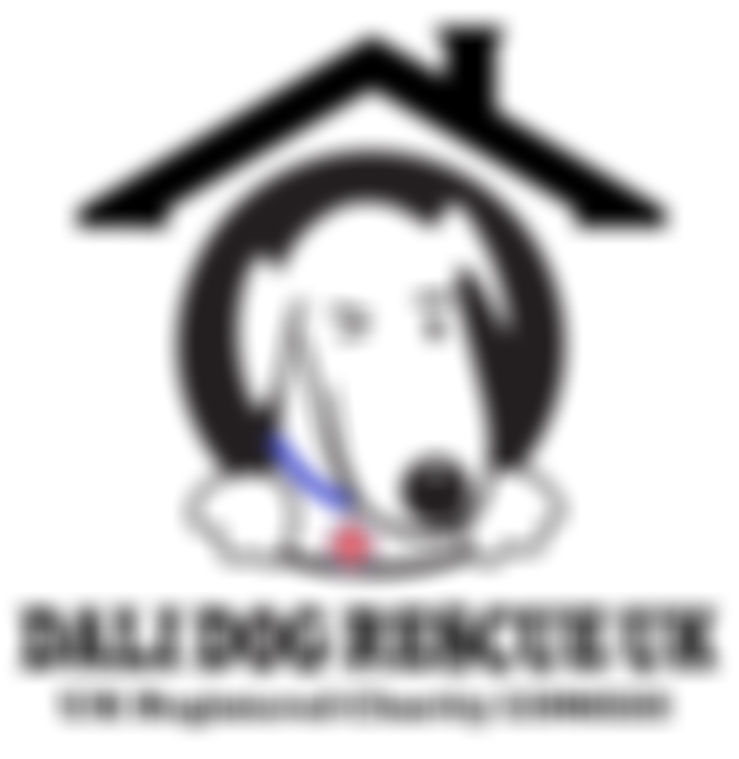 Dali Dog Rescue UK | Charici
