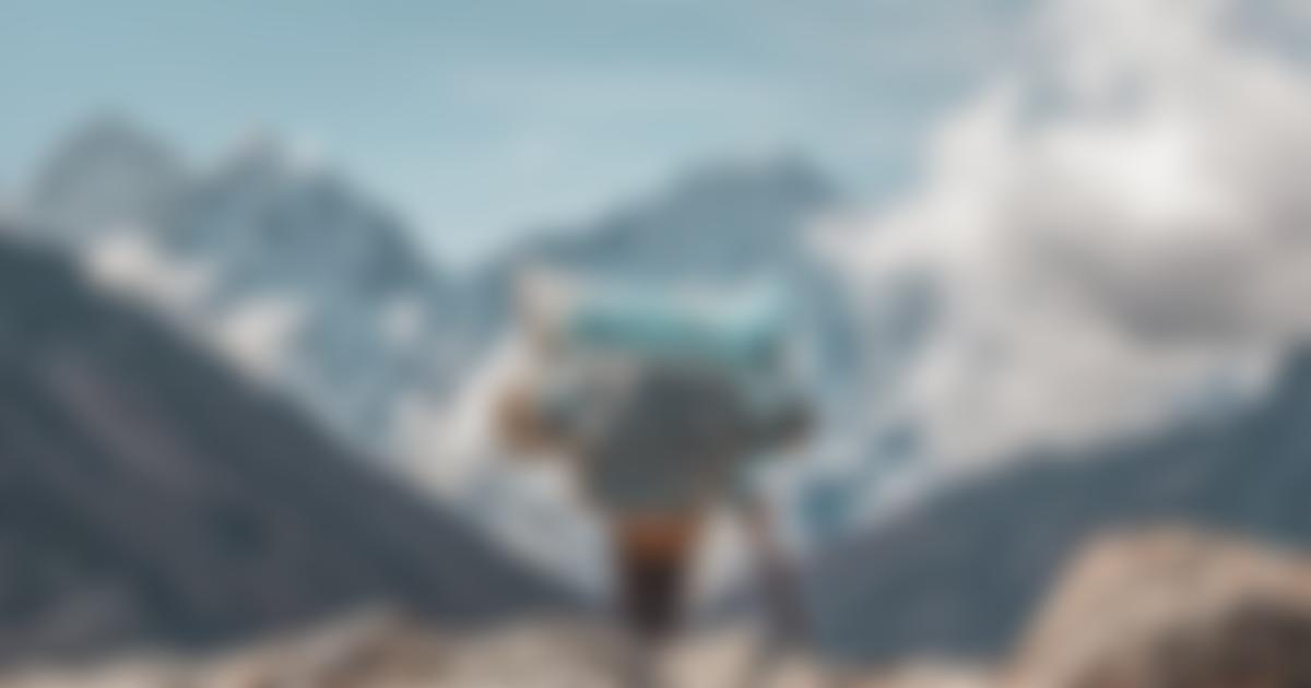 Nimsdai Foundation | Charici