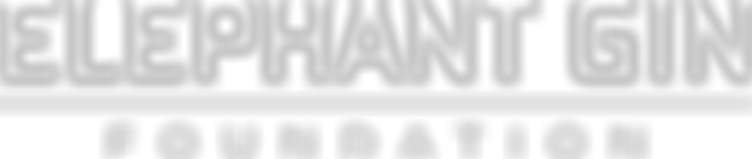 Elephant Gin Foundation | Charici