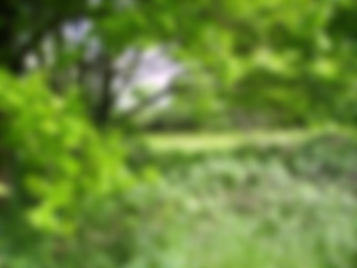 The Blaxhall Commons And Open Spaces Charitable Trust | Charici