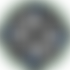 The Society For Free Radical Research | Charici