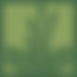 Devon Culm | Charici