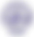 Haverhill Local History Museum | Charici