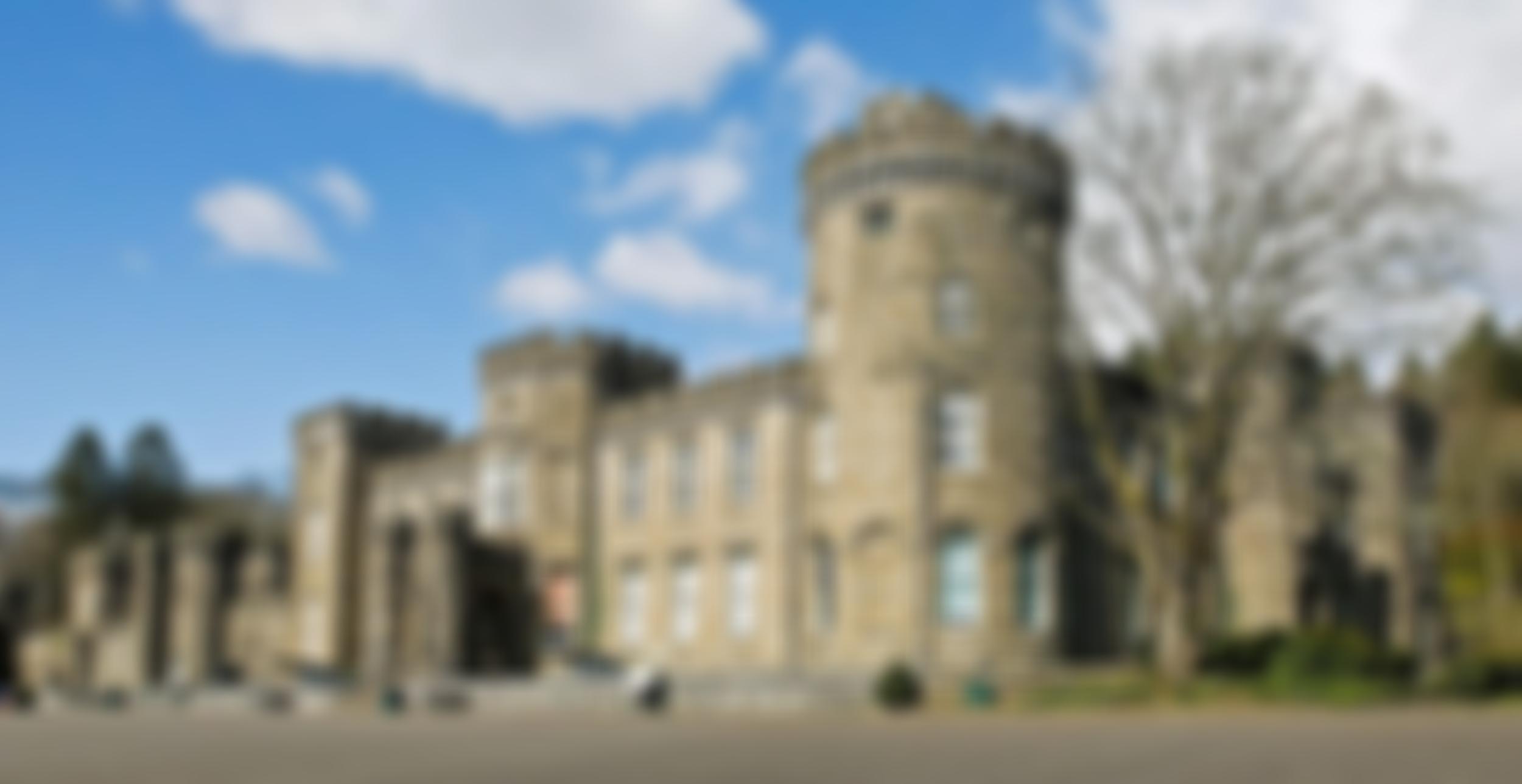 The Cyfarthfa Foundation | Charici