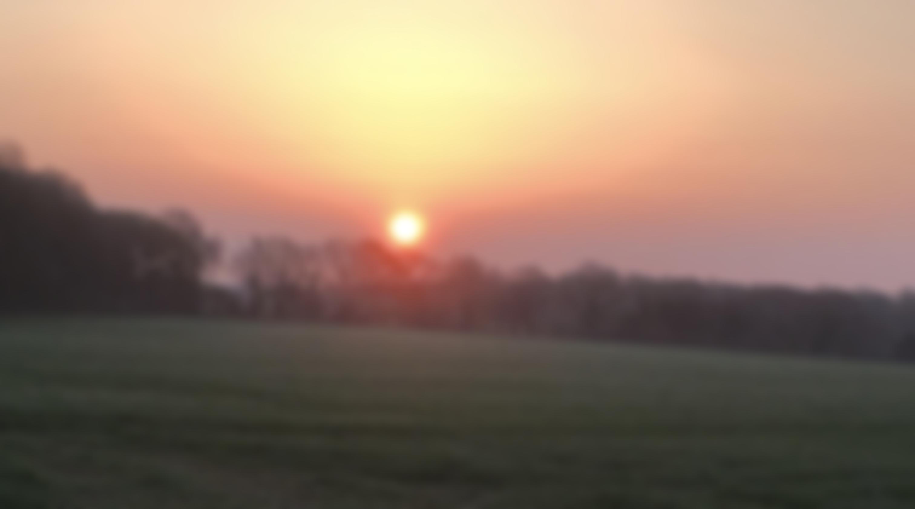 Walk N Talk 4 Mental Health | Charici