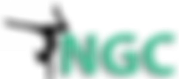 Norwich Gymnastics Club | Charici