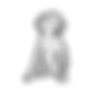 The Old Spotted Dog Ground Trust Limited | Charici