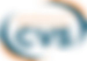 Barnsley Community And Voluntary Services | Charici