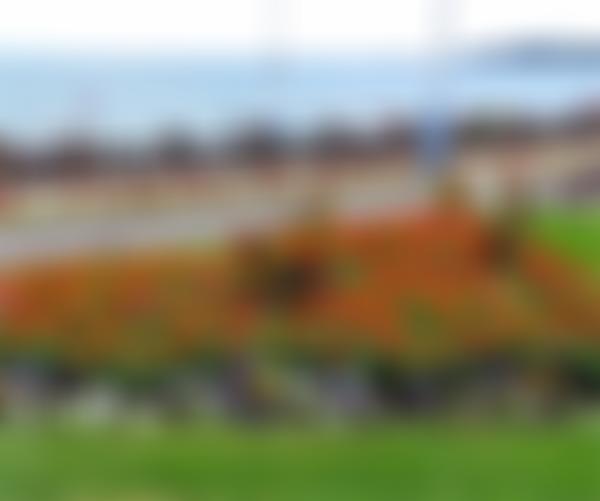 Friends Of Greenhill Gardens | Charici