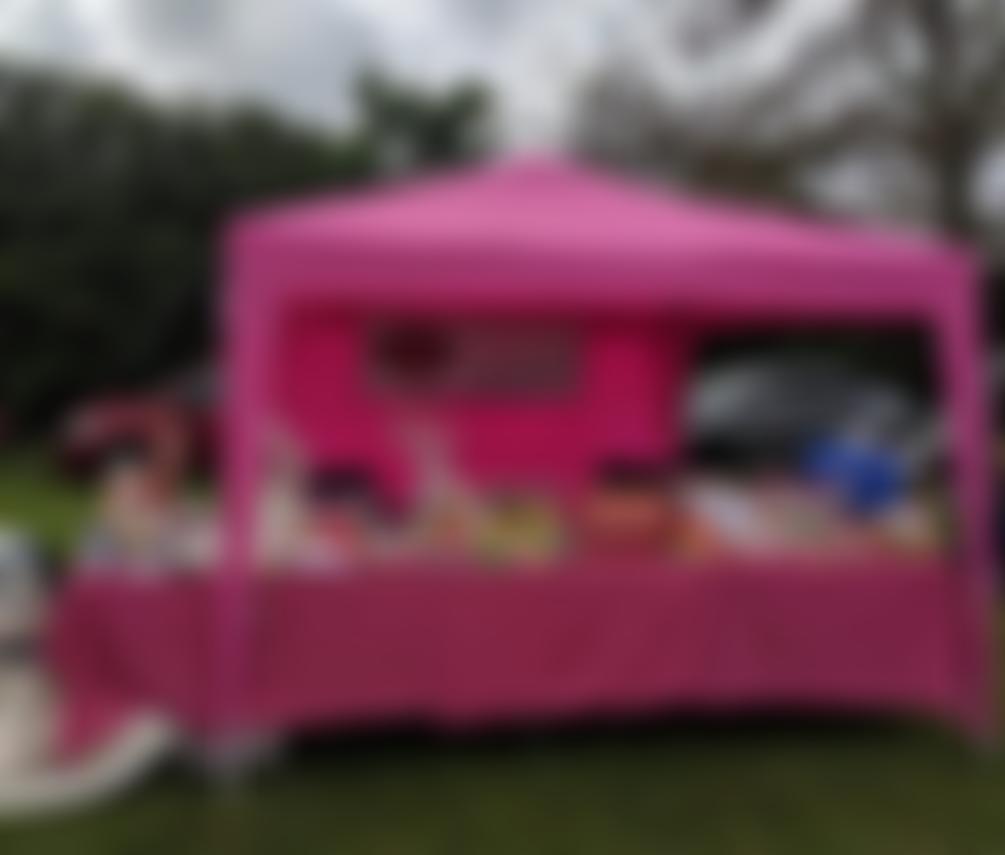 Pink Paws Cat Rescue | Charici