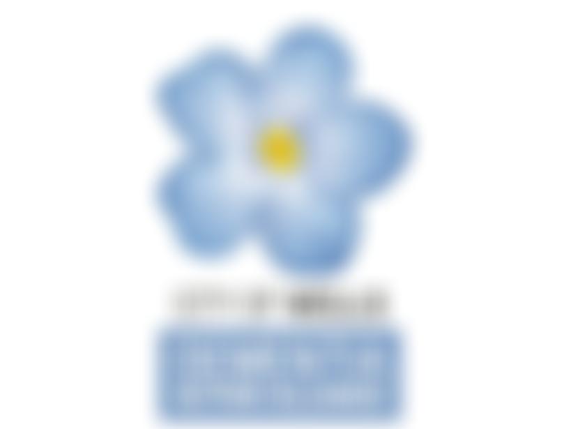 Wells Dementia Action Alliance | Charici