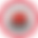 Saved By Grace Foundation | Charici