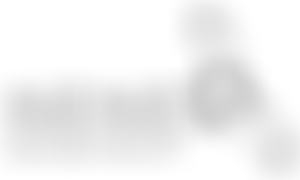 Nene Rivers Trust Cio | Charici