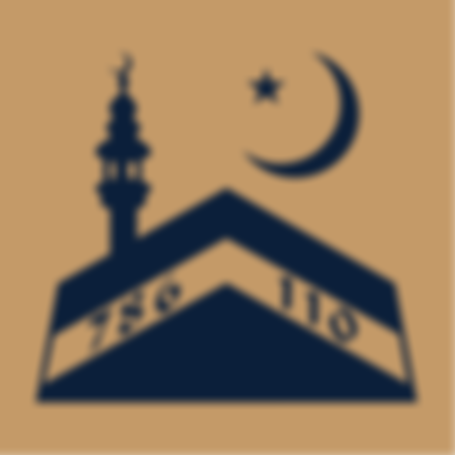 The Khoja Shia Ithnaasheri Muslim Community Of London | Charici