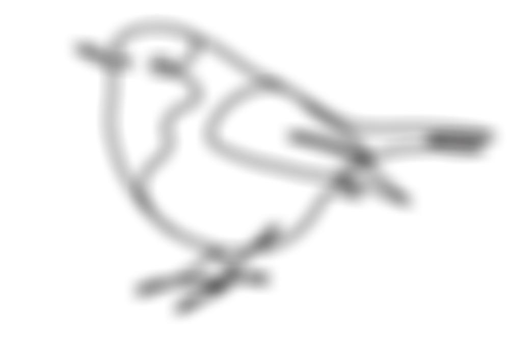 Robyn's Tiny Angel Gowns | Charici