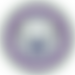 The Adapted Sports Hub Trust | Charici