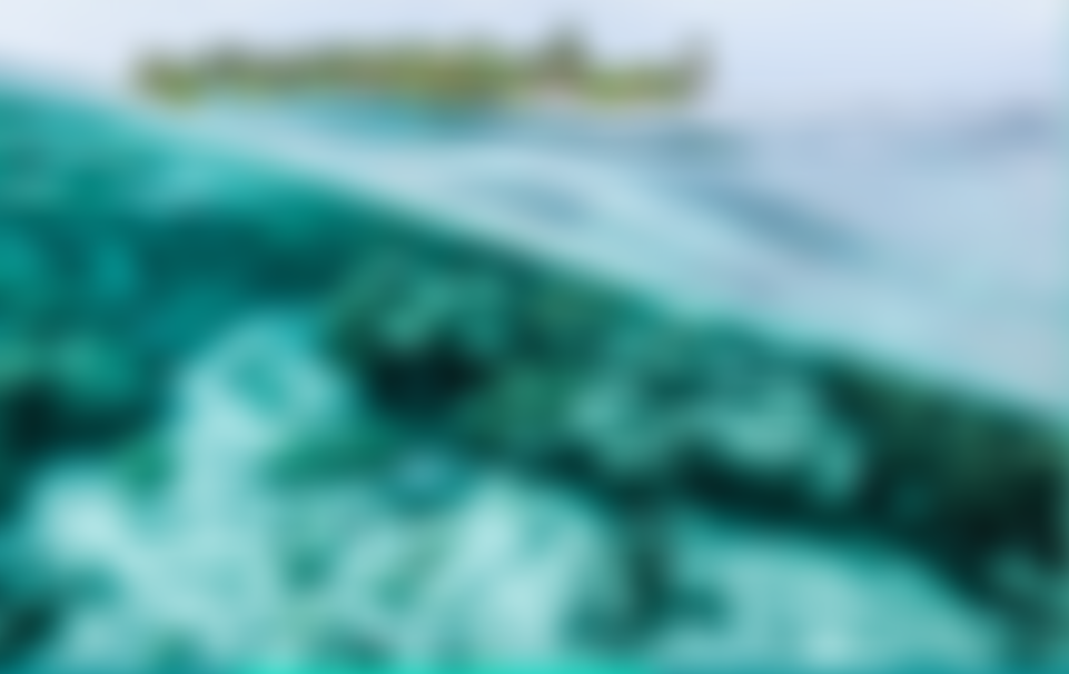 Carbon Gap Ltd | Charici