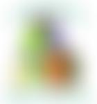 North East Mitcham Community Association | Charici