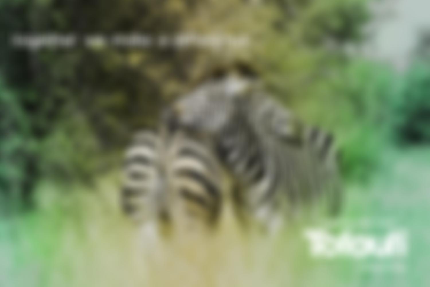 Tofauti Foundation | Charici