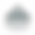 Hadhrat Shaykh Muhammad Zakariyya Foundation | Charici