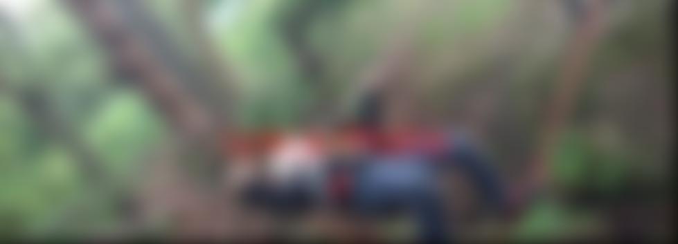 1St Millbrook Stalybridge Scout Group | Charici