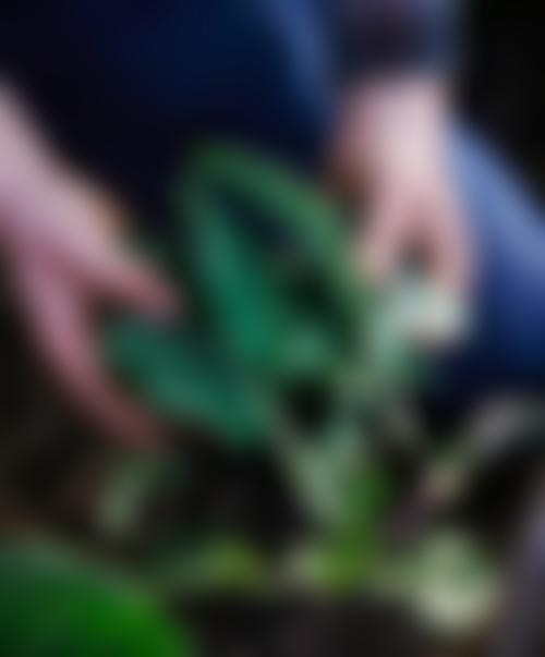 Malvern Wells Village Hall | Charici