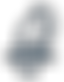 Canary Serve Limited | Charici