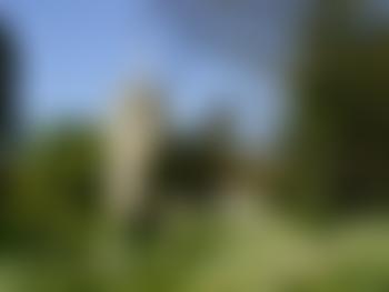 The Friends Of St James' The Great, Thorley | Charici