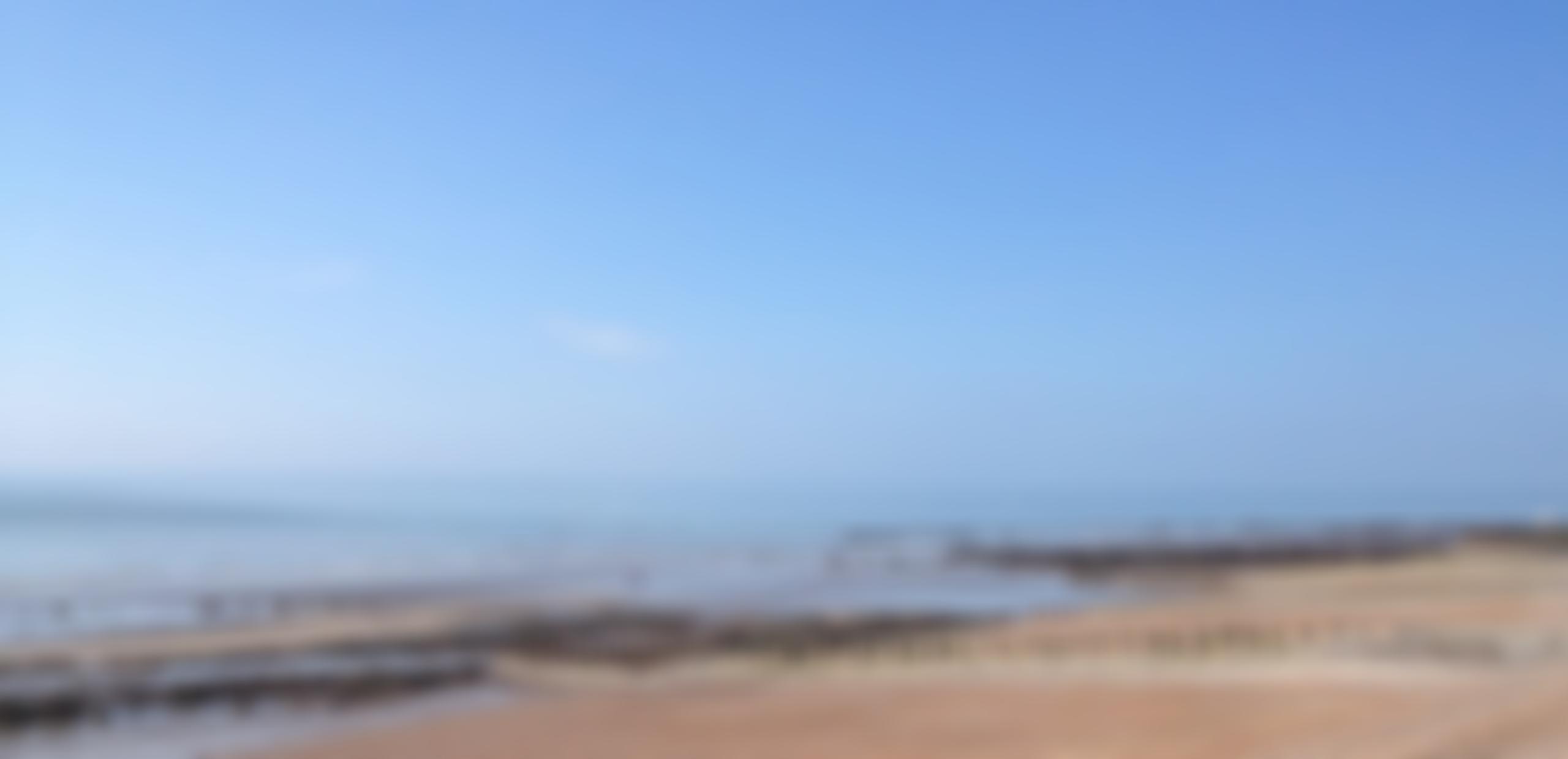 Hastings City Of Sanctuary | Charici