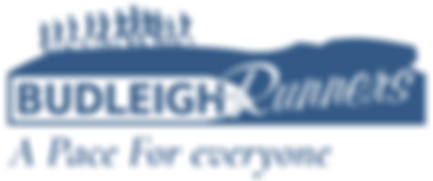 Budleigh Salterton Running Club | Charici