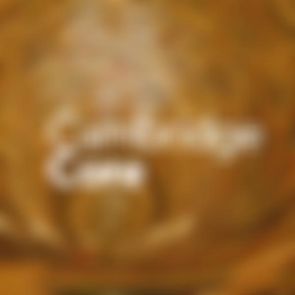 Kantian Review Charitable Association | Charici