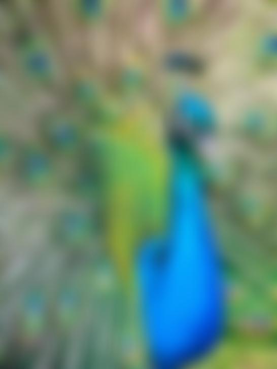 Corsham Connections | Charici