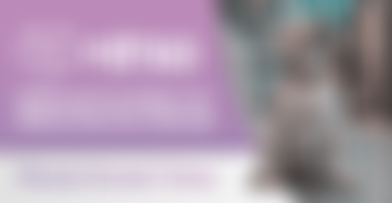 The National Foundation For Retired Service Animals | Charici