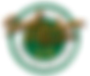 Soul Kitchen Chester | Charici