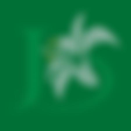 The Friends Of St. Joseph's School Dorking | Charici