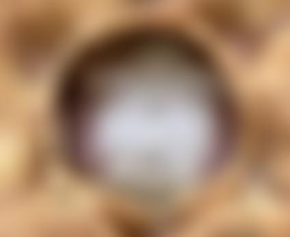 Bee Improvement & Bee Breeders Association | Charici