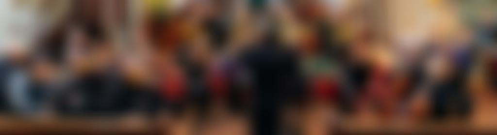 Dorking Chamber Orchestra | Charici