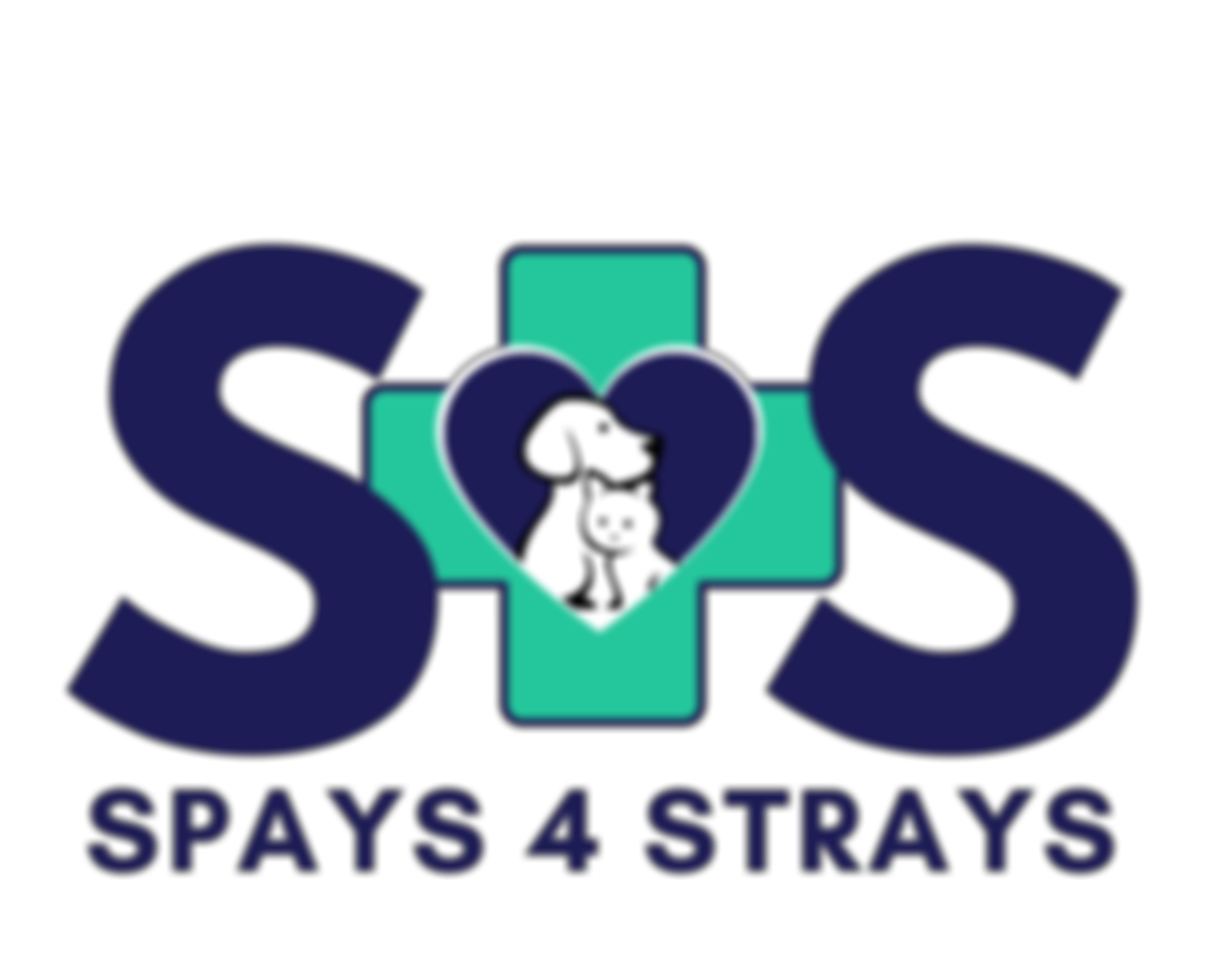Spays4Strays | Charici