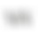 Multitude Of Voyces | Charici