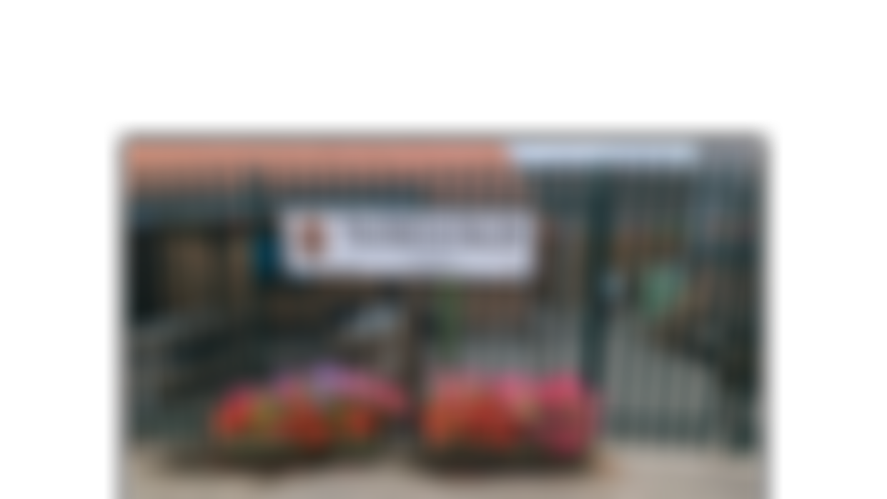 The Shed On The Isle | Charici