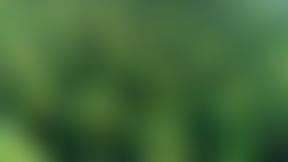 The Rotary Clubs Of Stoke On Trent And Wolstanton Charitable Trust Fund | Charici