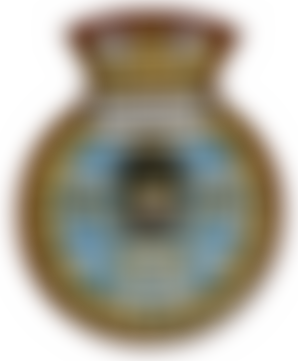 Hms Bronington Preservation Trust Ltd | Charici