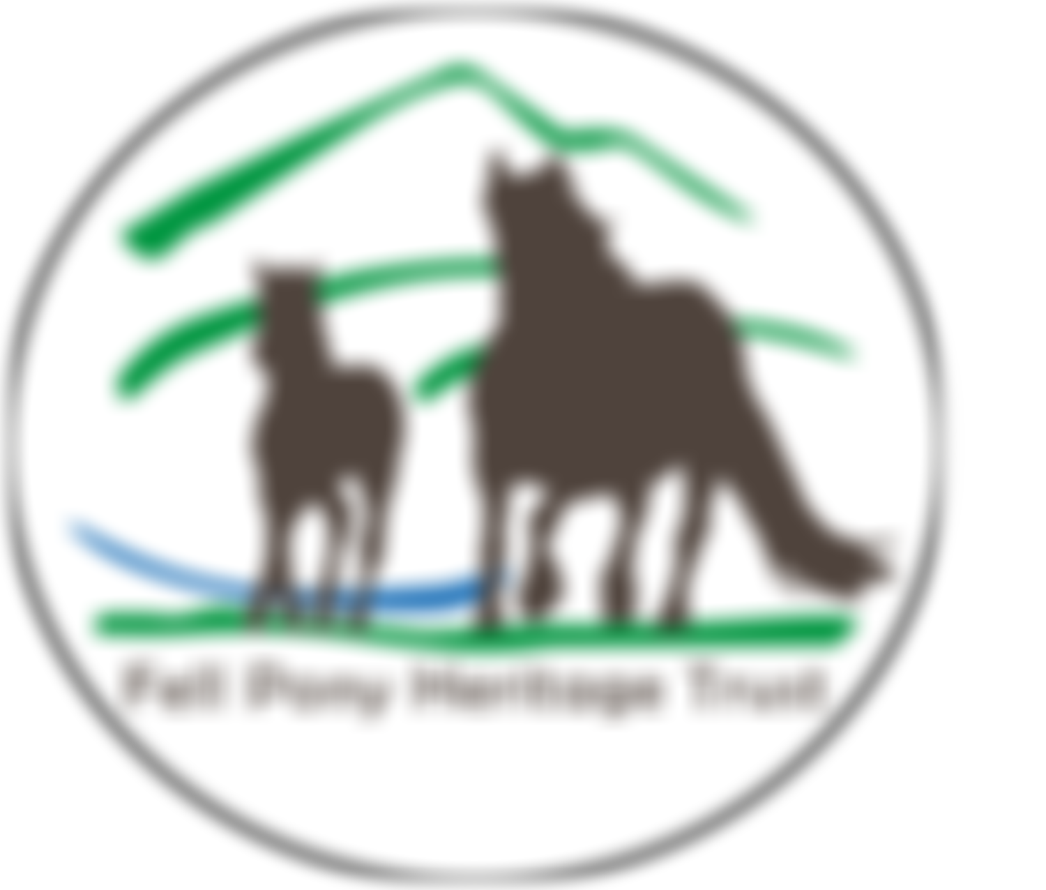 Fell Pony Heritage Trust | Charici