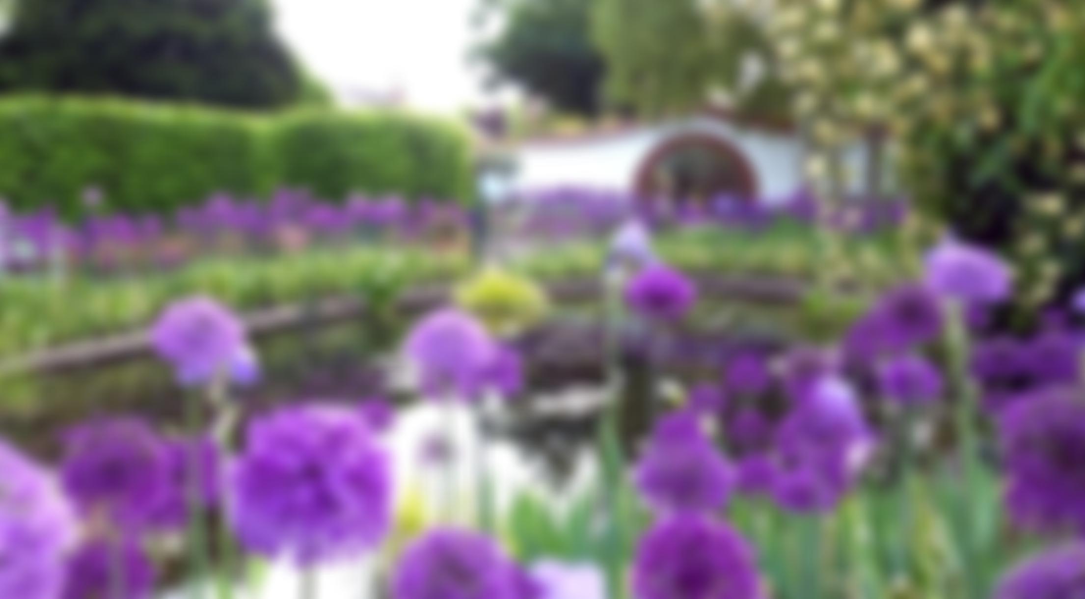 The Dawber Garden Community Trust | Charici