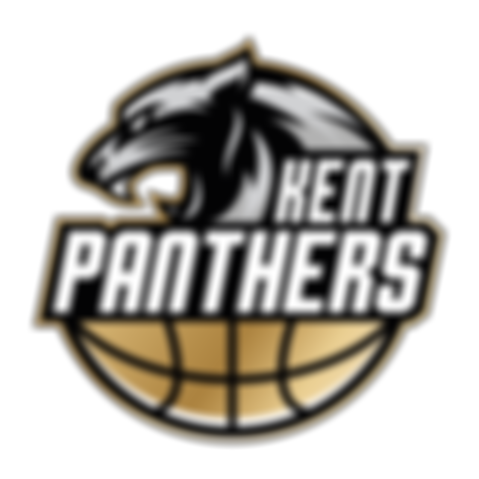 Kent Panthers Foundation | Charici