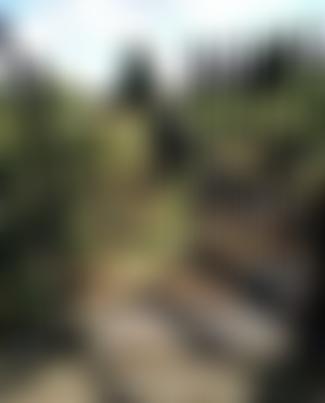 Friends Of Chapel Street Cemetery | Charici