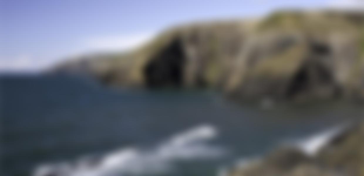 Friends Of Pembrokeshire Coast National Park | Charici