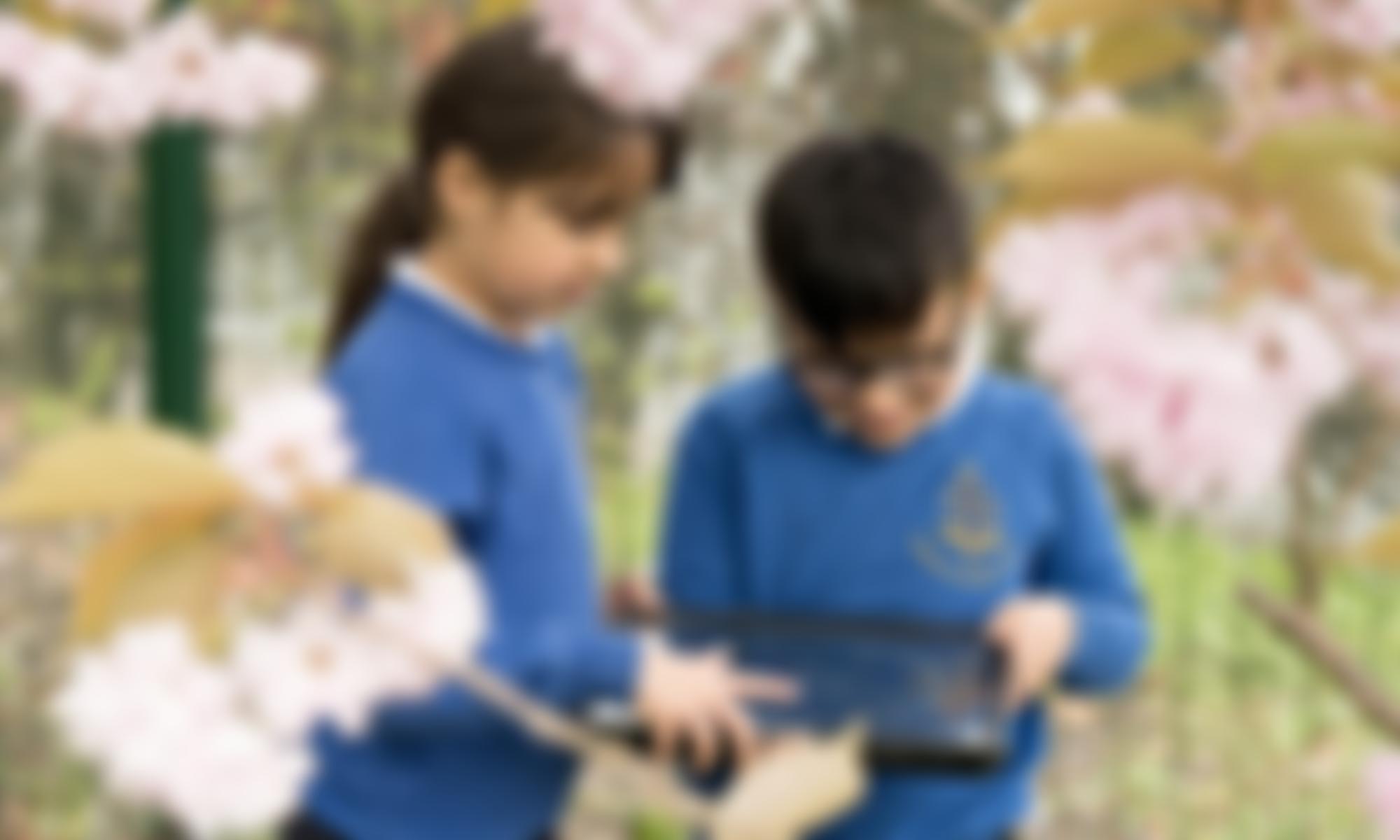 Friends Of Victoria Primary School | Charici